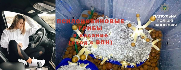 мяу мяу мука Абинск
