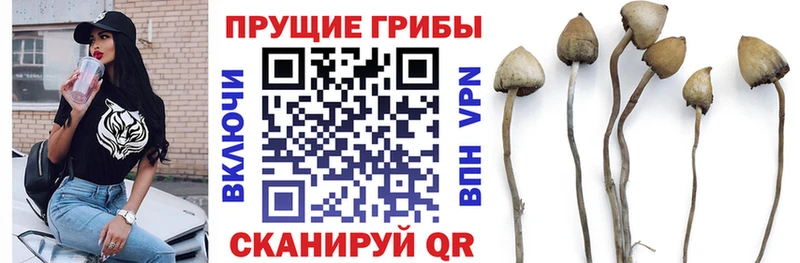 Галлюциногенные грибы прущие грибы где купить наркотик Энем