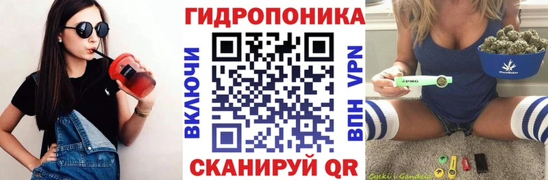 Бошки Шишки план  Энем 